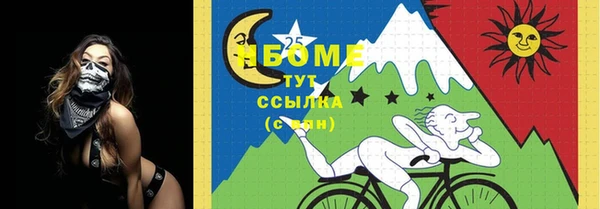 соль ск Зеленодольск