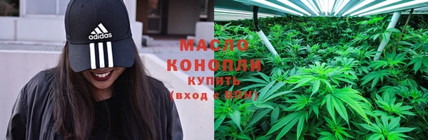 соль ск Зеленодольск